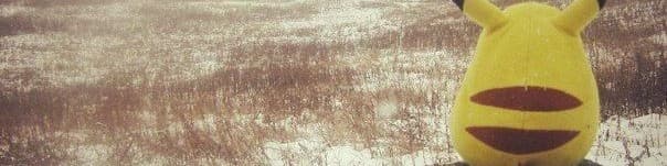 User profile banner