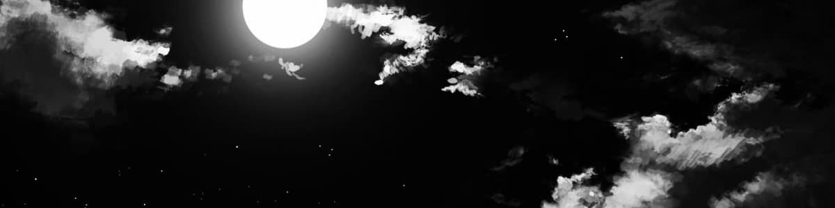 User profile banner