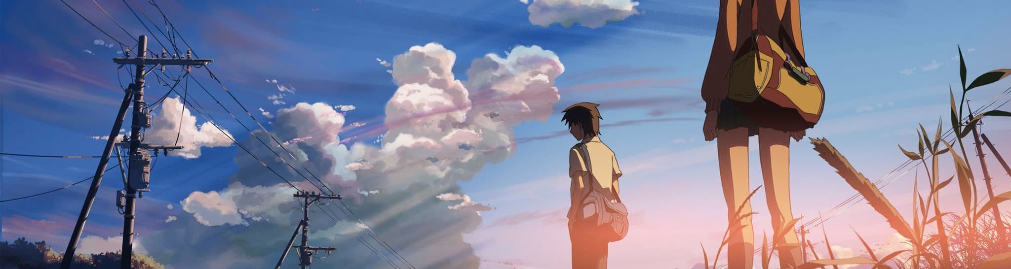 User profile banner