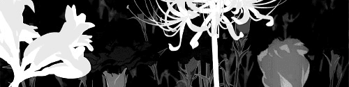 User profile banner