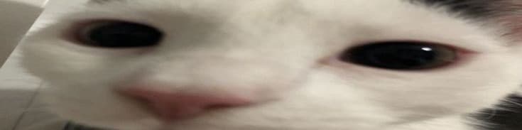 User profile banner