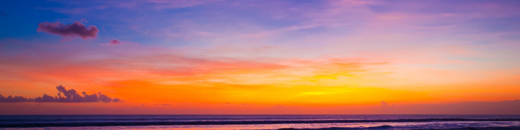 User profile banner
