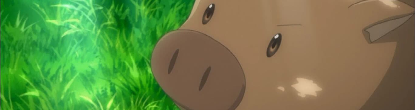 User profile banner