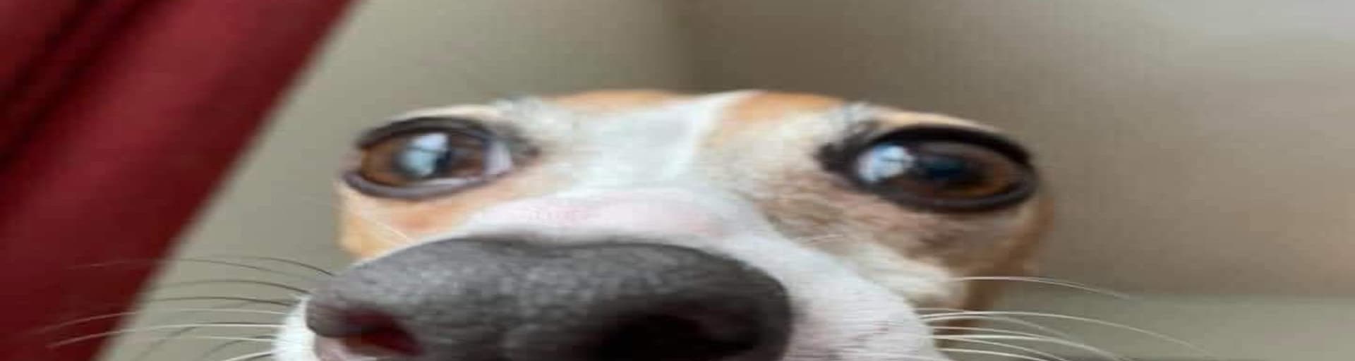 User profile banner