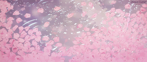 User profile banner