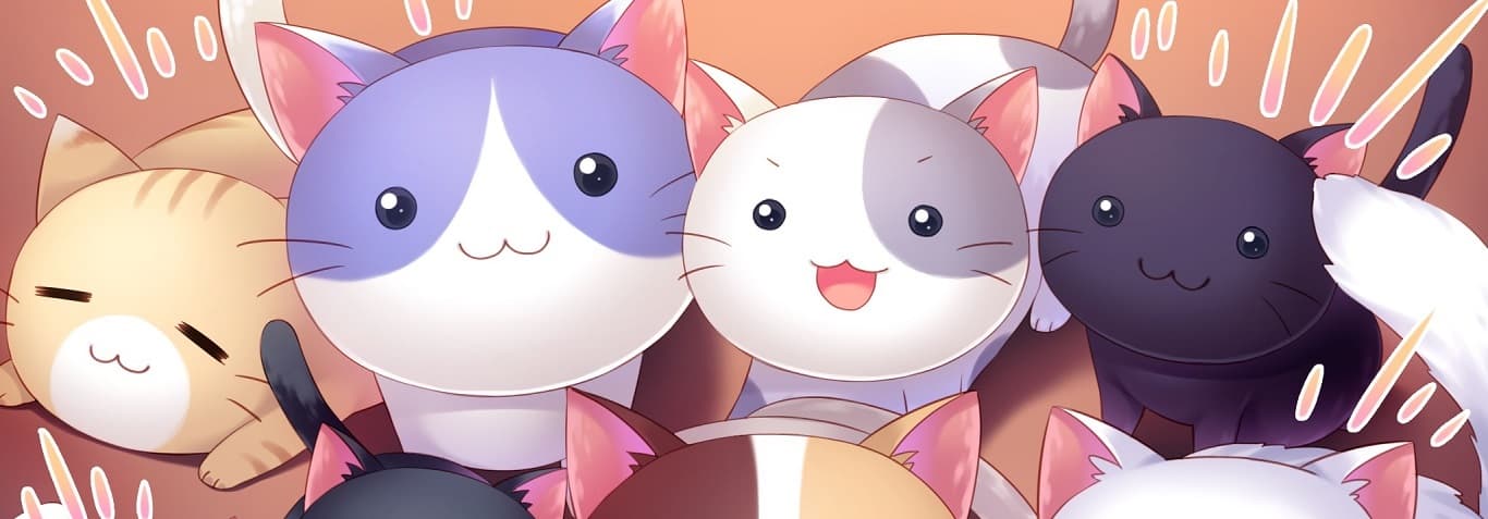 User profile banner