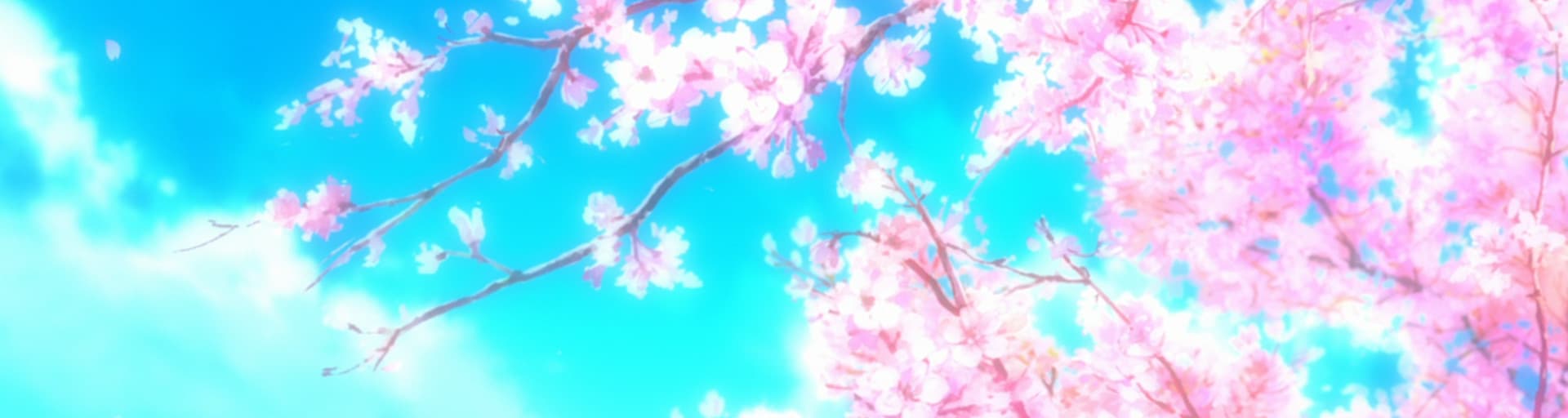 User profile banner