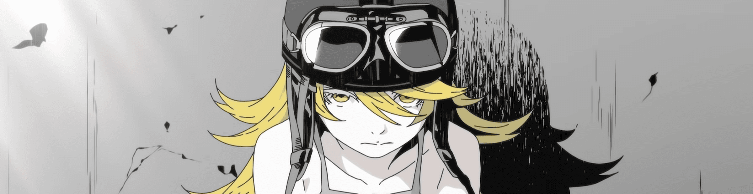 User profile banner