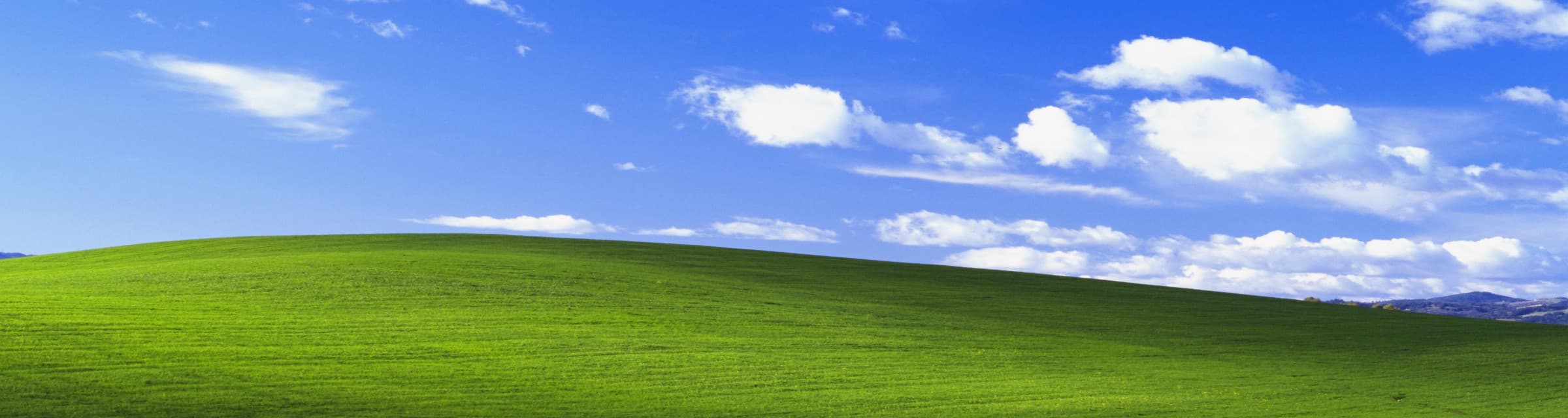 User profile banner