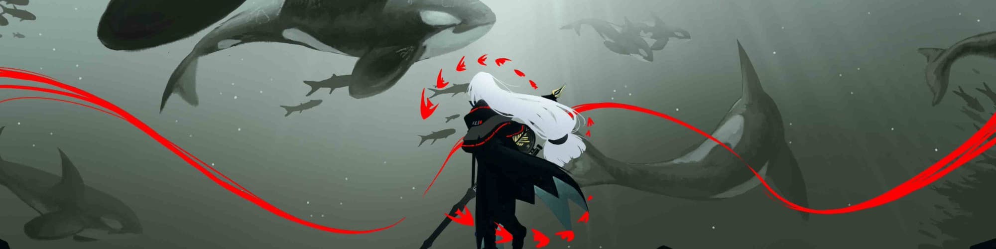 User profile banner
