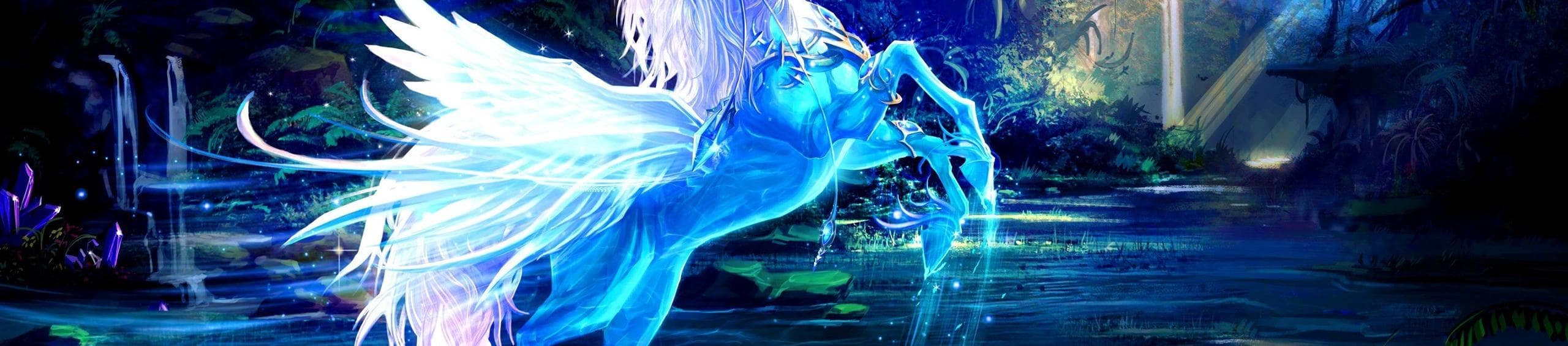 User profile banner