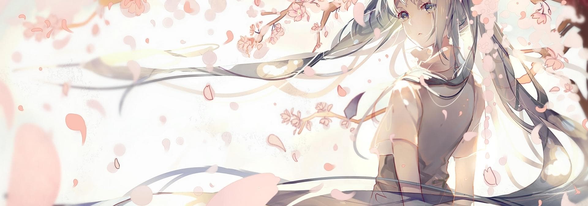 User profile banner
