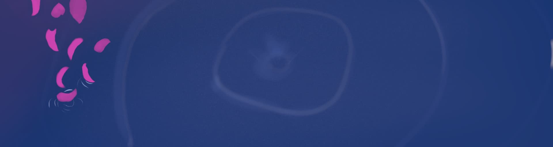 User profile banner