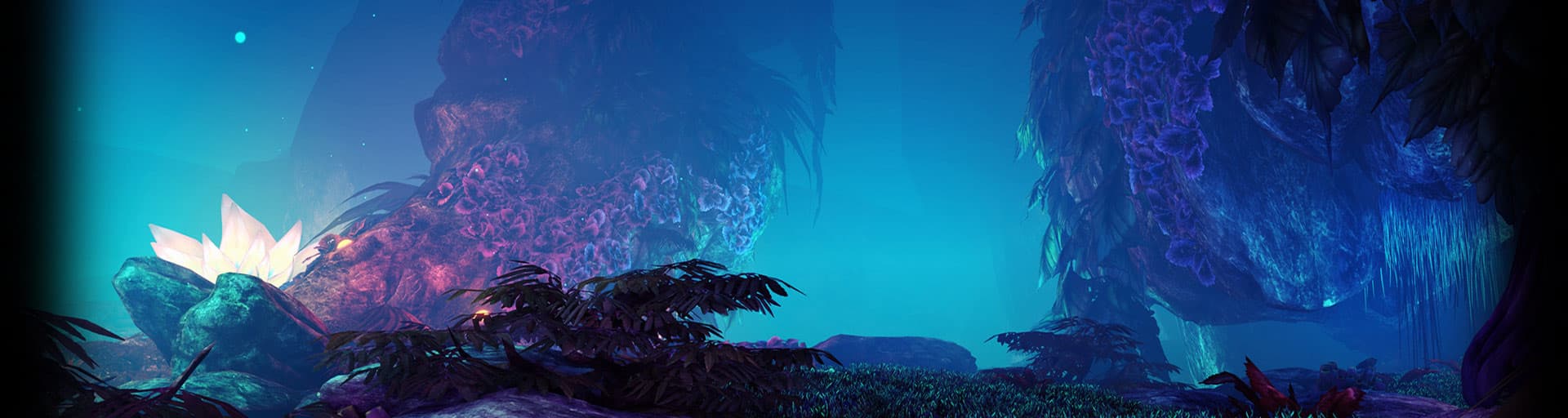 User profile banner