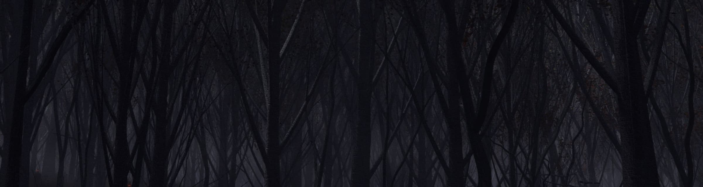 User profile banner