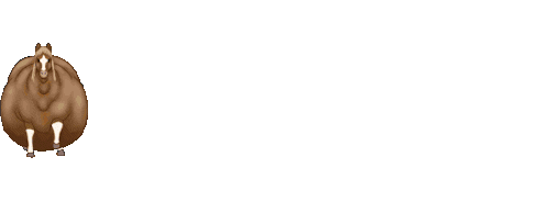 User profile banner
