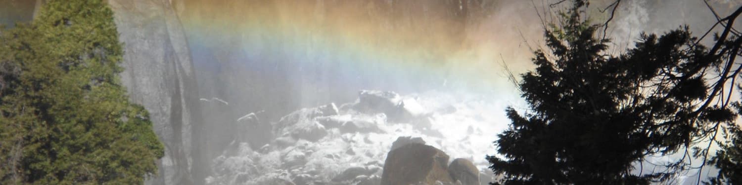 User profile banner