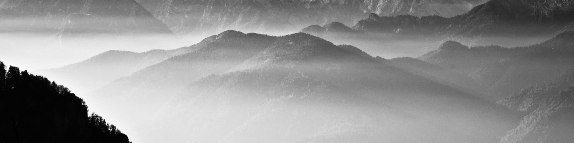 User profile banner