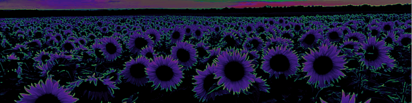 User profile banner