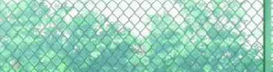 User profile banner