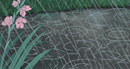 User profile banner