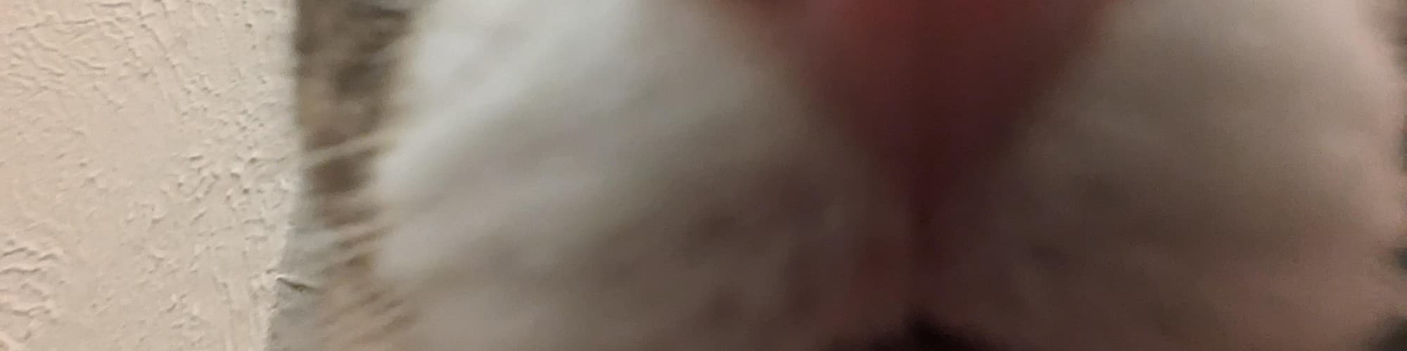 User profile banner