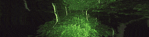 User profile banner