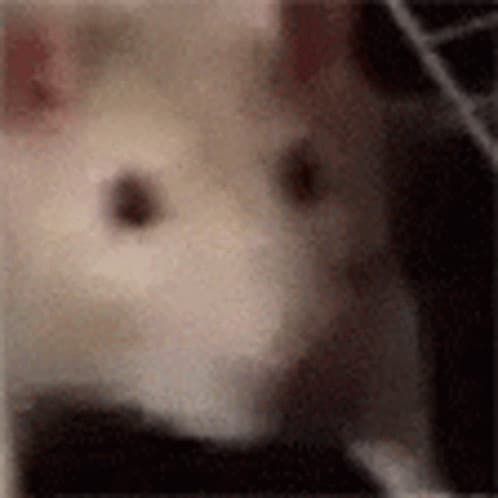 User profile banner
