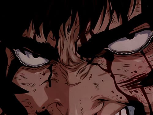 User profile banner