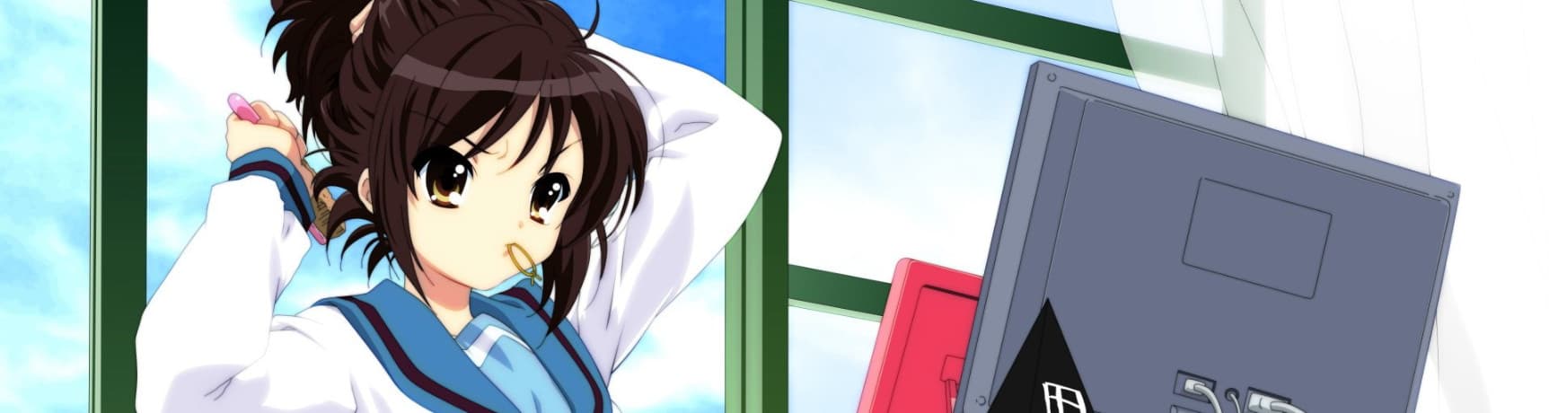 User profile banner
