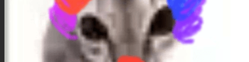 User profile banner
