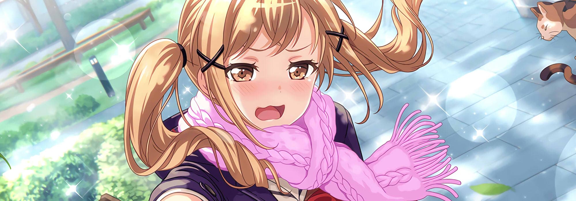 User profile banner