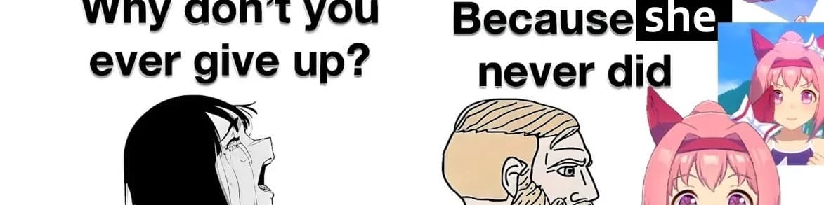 User profile banner