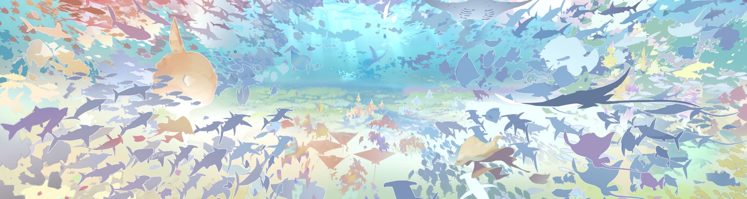 User profile banner