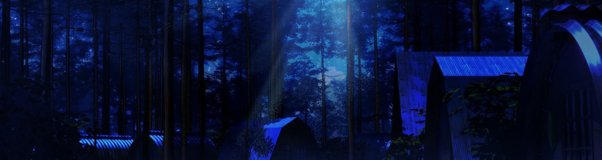 User profile banner
