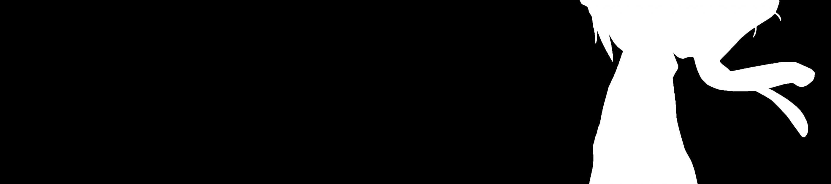 User profile banner