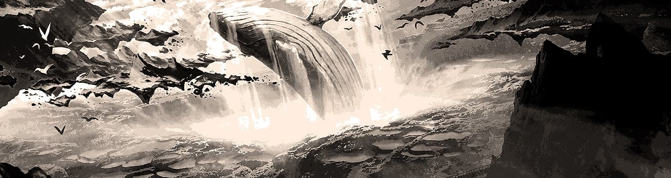 User profile banner