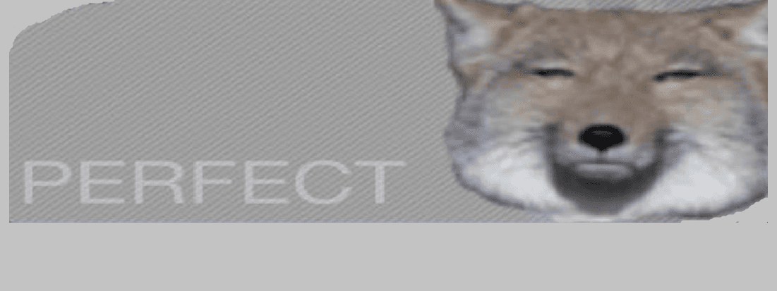 User profile banner