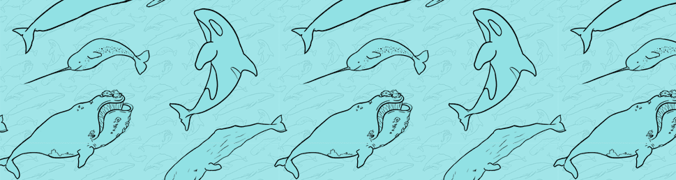 User profile banner