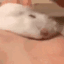 User profile banner