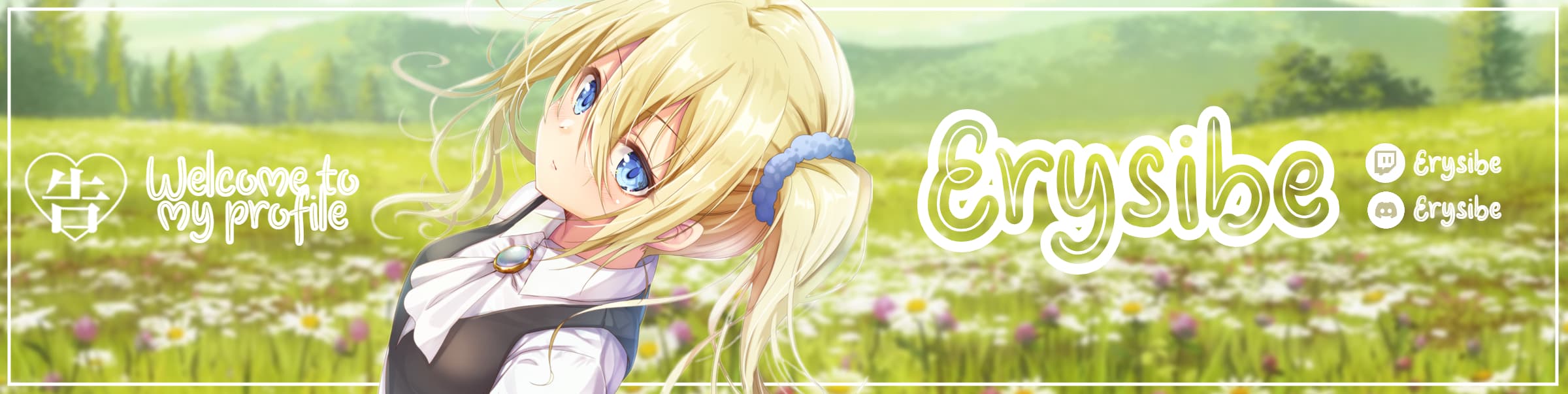 User profile banner