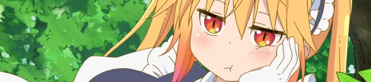 User profile banner