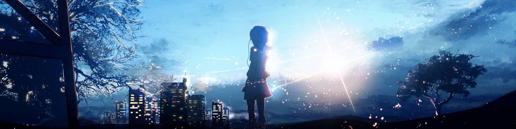 User profile banner