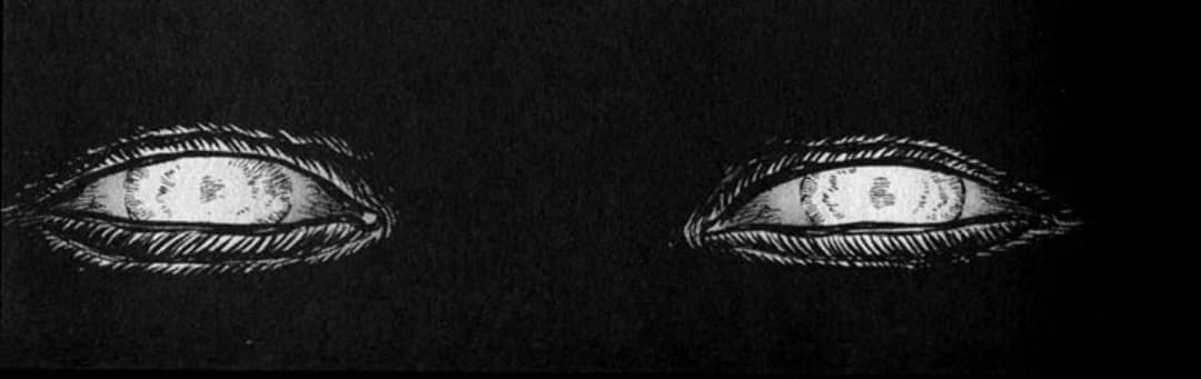 User profile banner