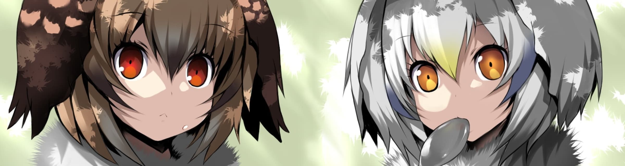 User profile banner